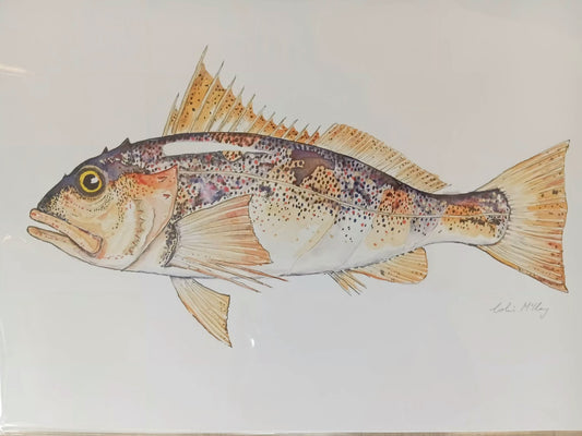 A4 Paddy Perch Watercolur Print