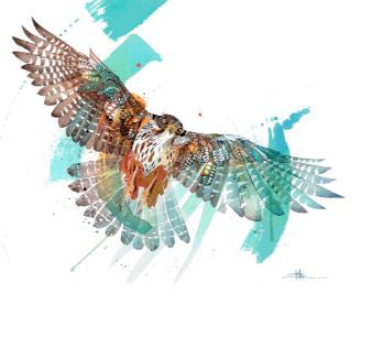 Blue Sky Falcon
