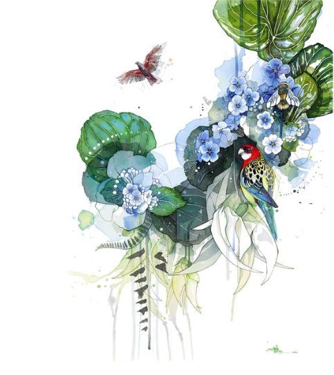 Forget-me-not composition (Rosella+Kaka) 8/100