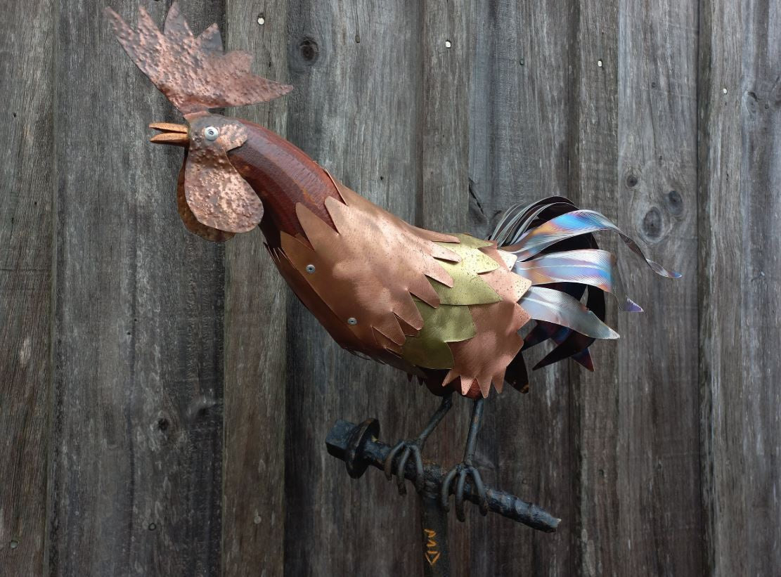 Rooster