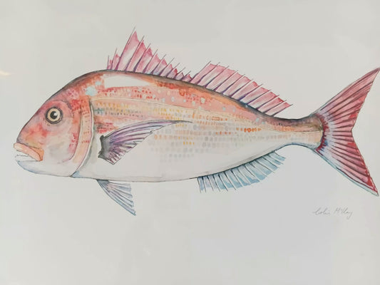 A4 Snip Snapper Watercolur Print