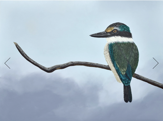 'Contemplation'  1/100 860 x 640mm