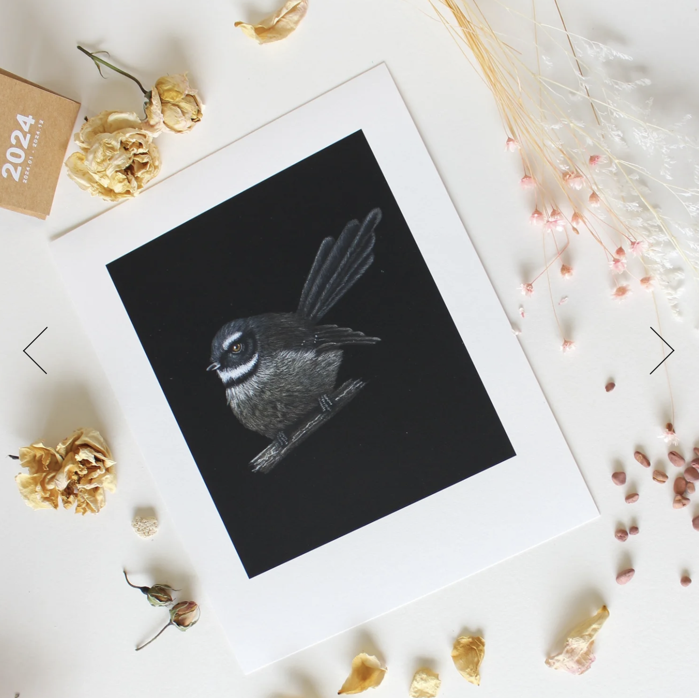 Fantail on Log - 15/50