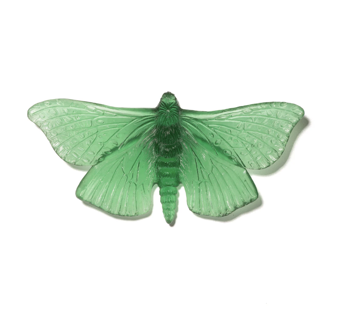 Puriri Moth - Emerald