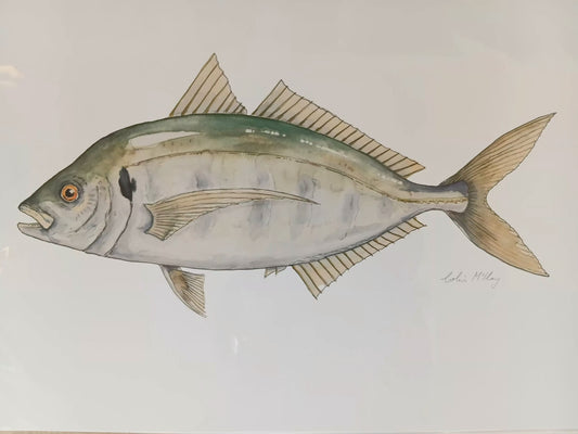 A3 Trev Trevally print
