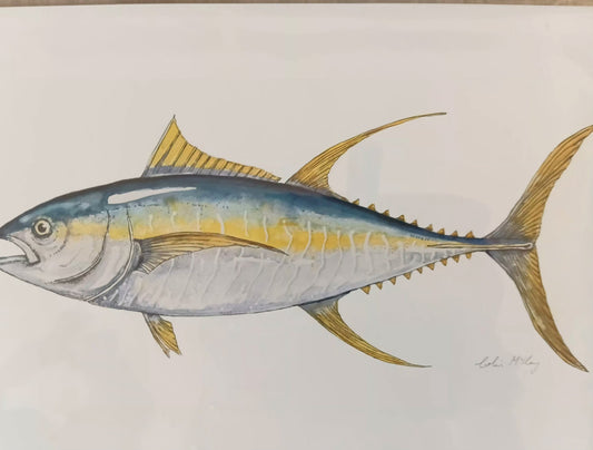 A2 Yellow Fin Tuna Watercolur Print