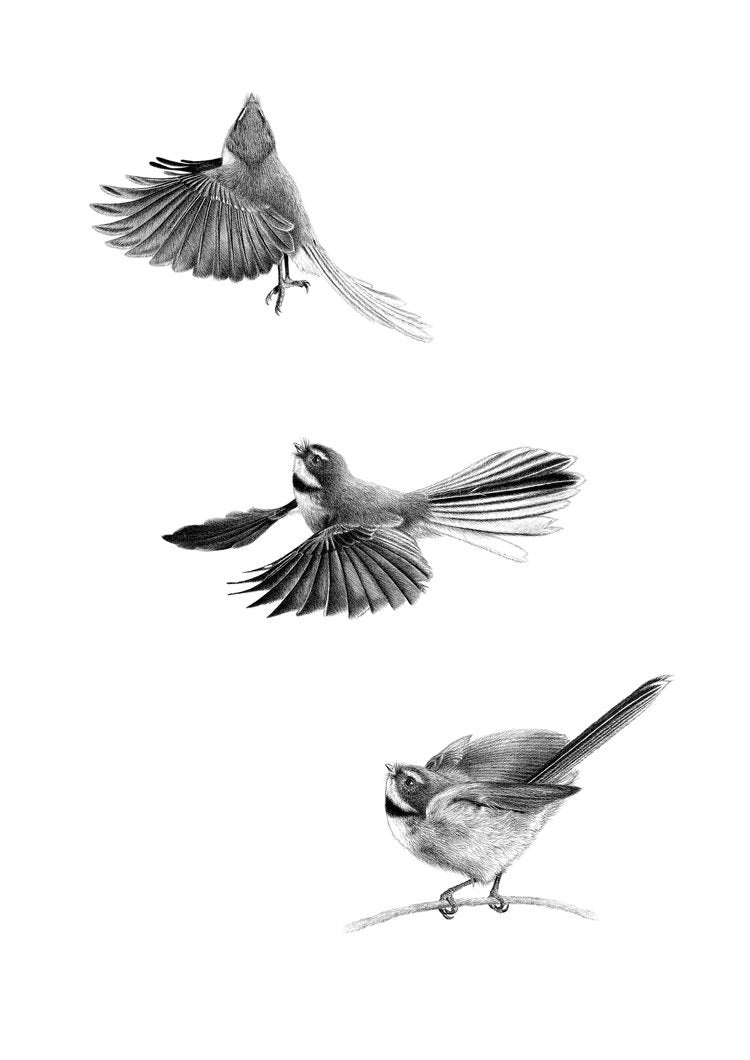 A4 Take Flight 27/80