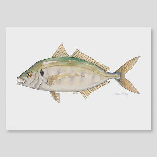 A4 Trevally Watercolour Print