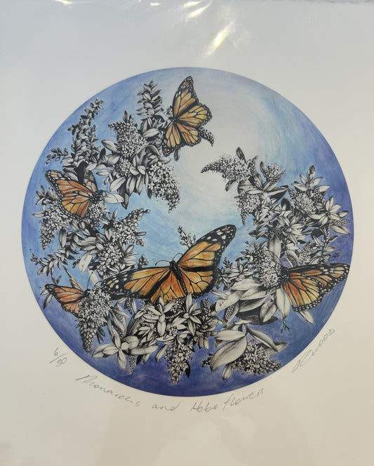 Pencil Drawings Rounds