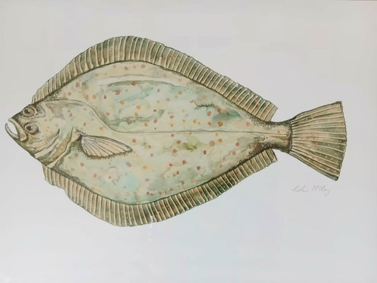 A3 Flo Flounder Watercolour print