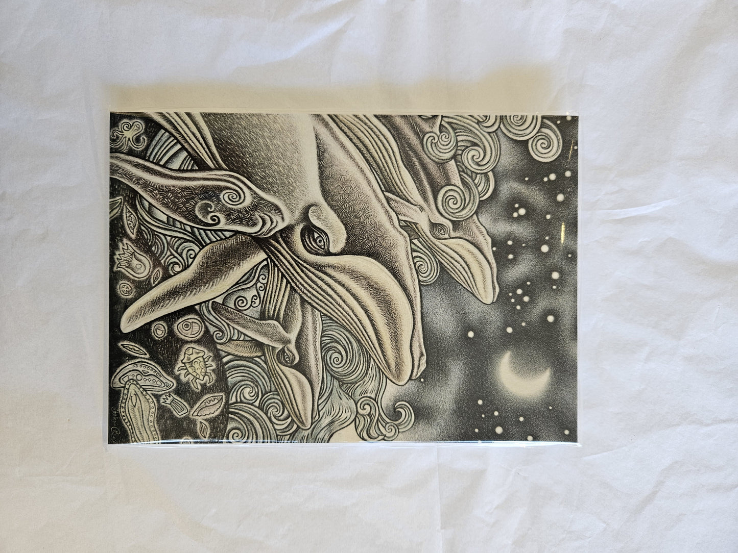Star Whales A5