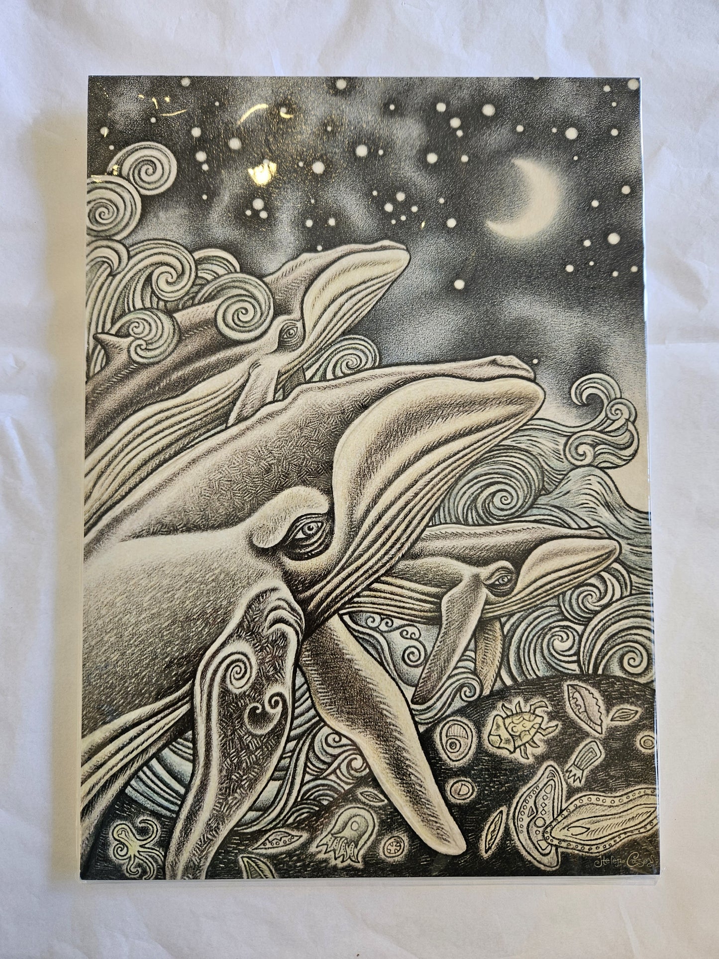 Star Whales