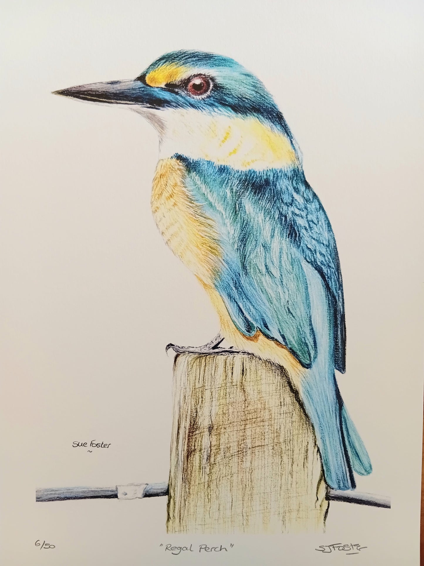 A4 Limited Regal Rerch print