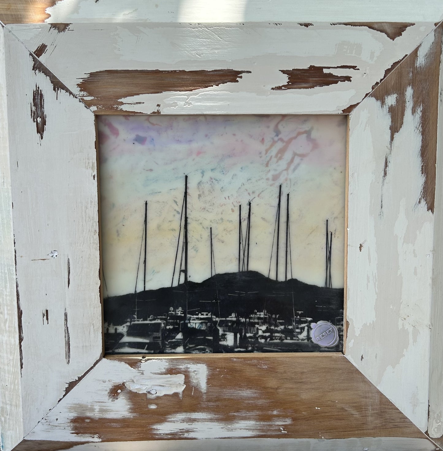 Sailing Boats Rangitoto