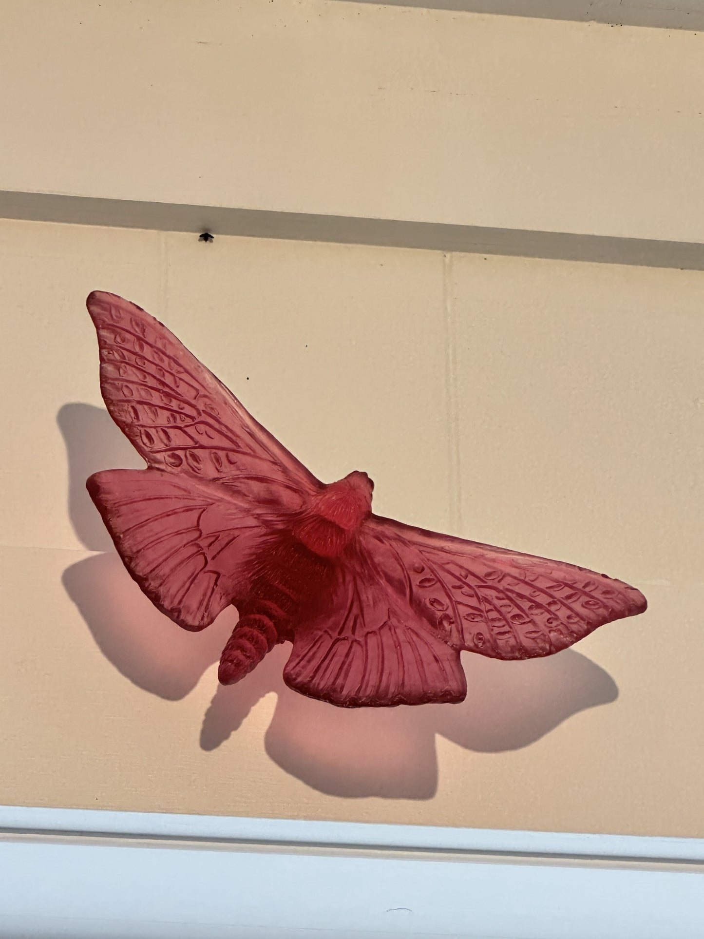 Moth - Gold Ruby