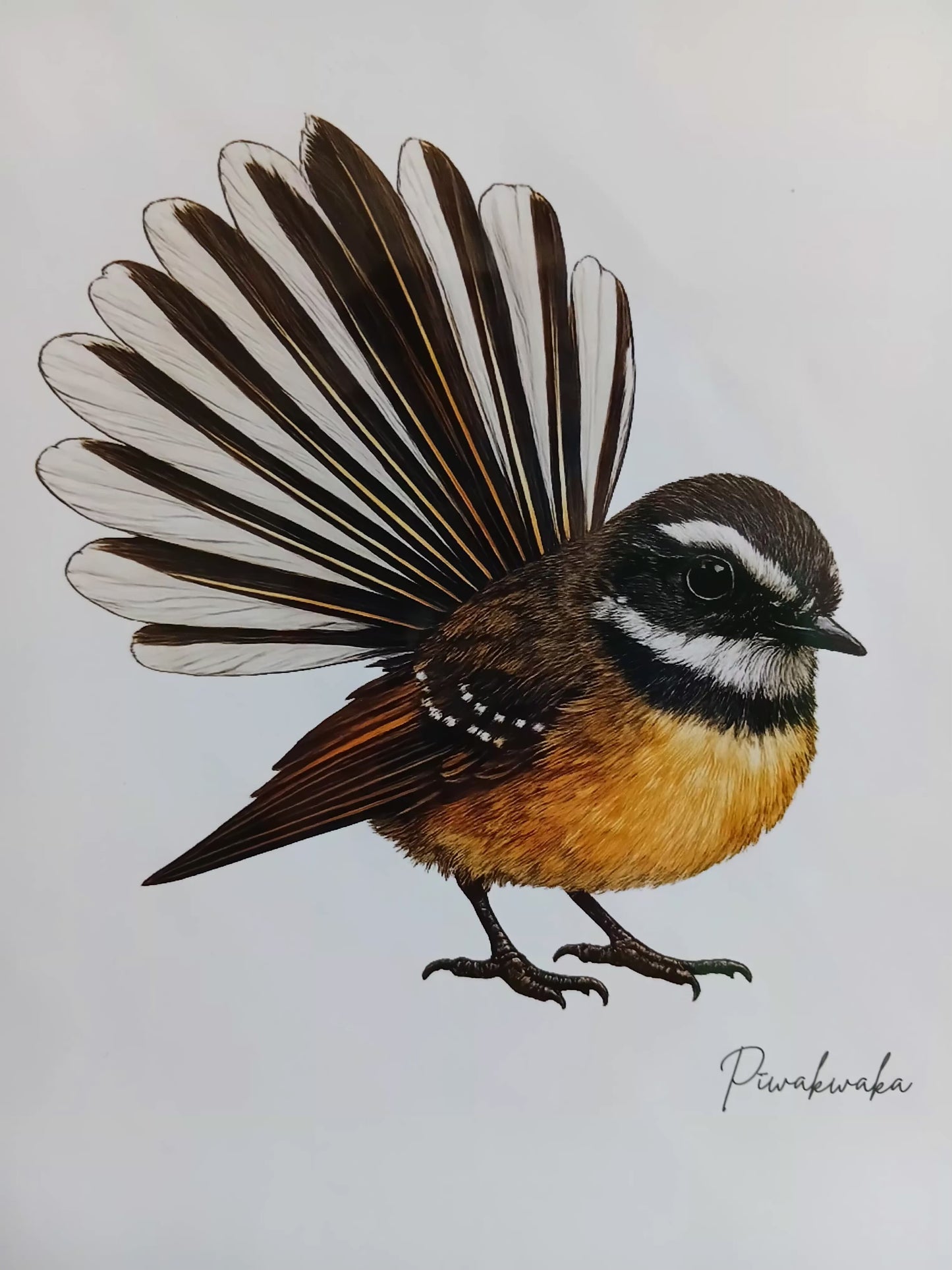 A4 Piwakawaka print