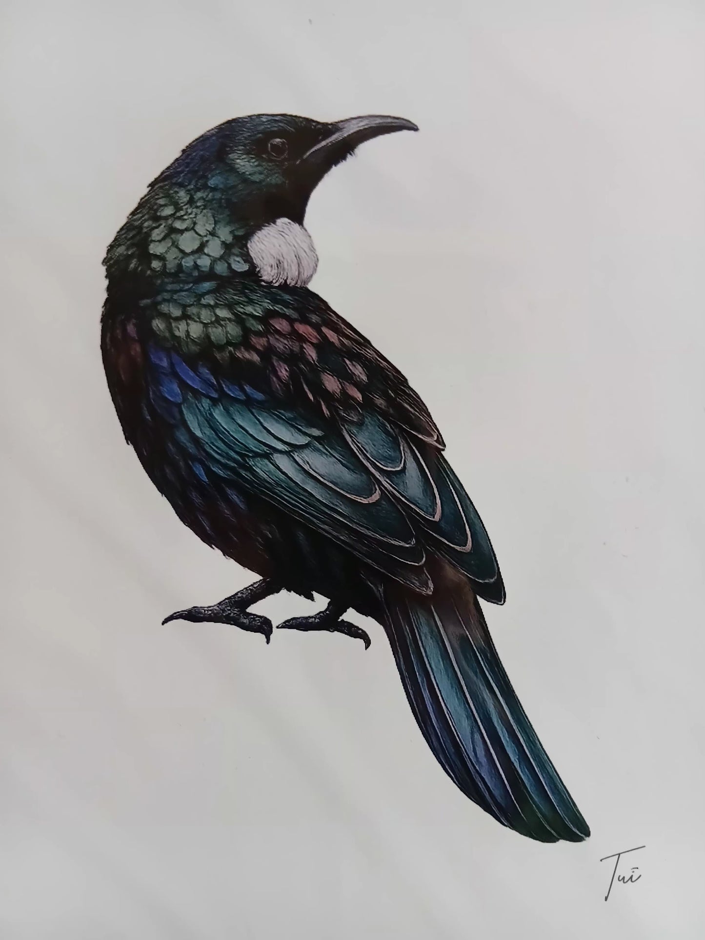 A4 Tui print