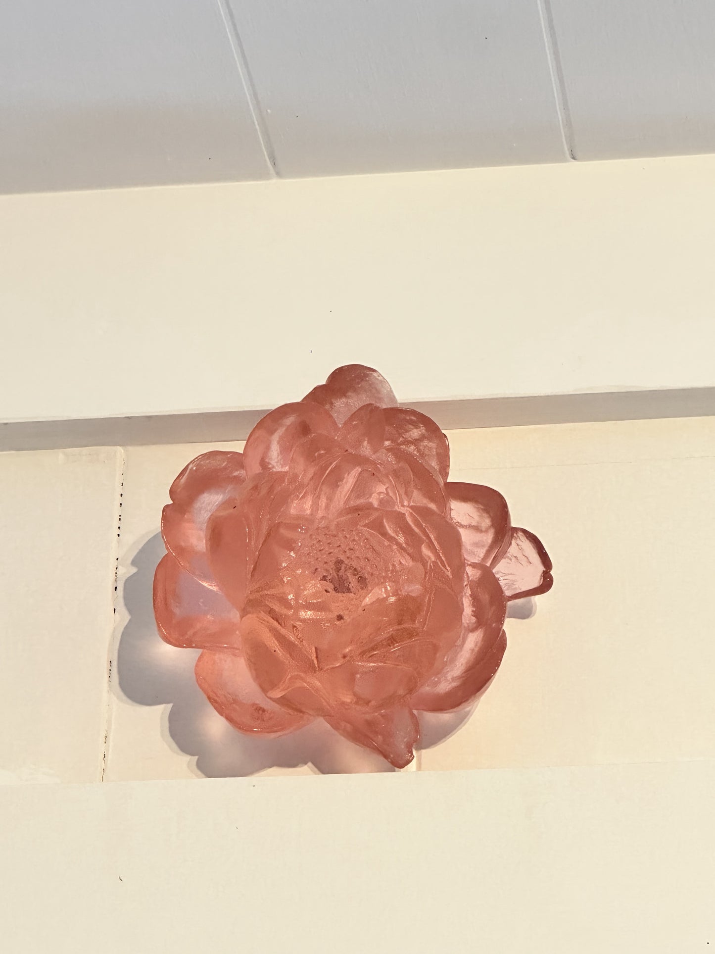 Peony Flower -  Pink