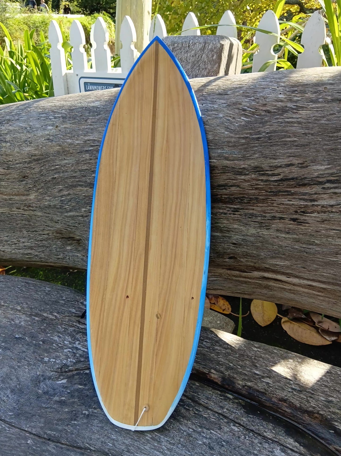 Blue Rimmed Surfboard
