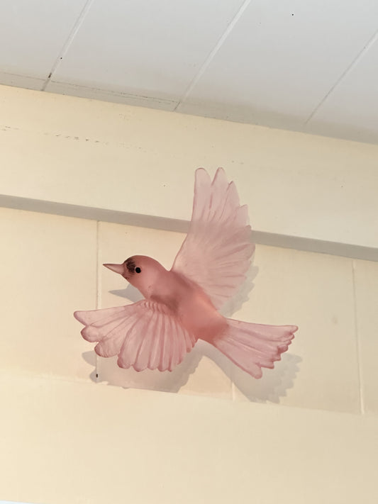 Yellowhead - Pink