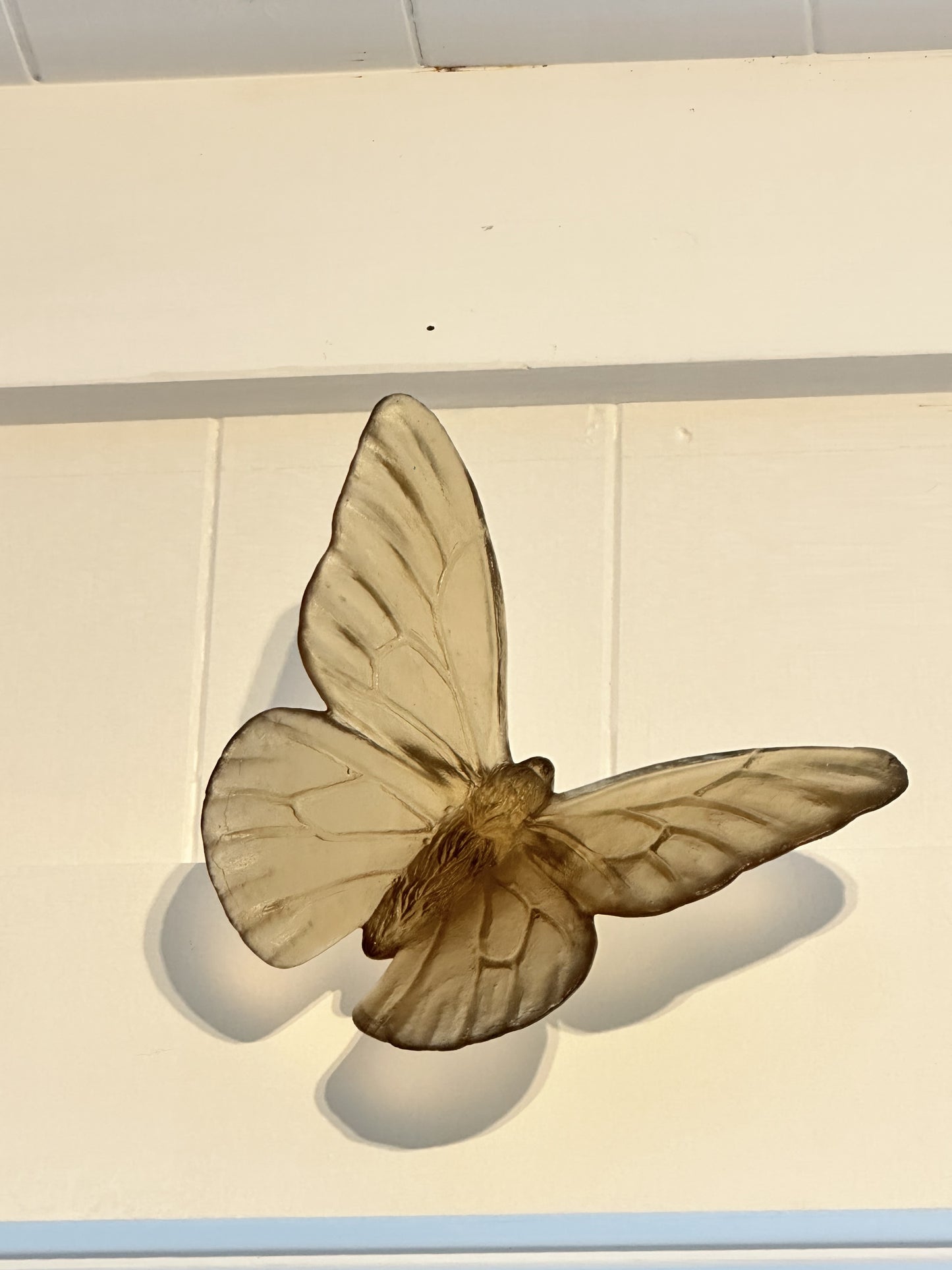 Classic Butterfly Monarch - Bronze
