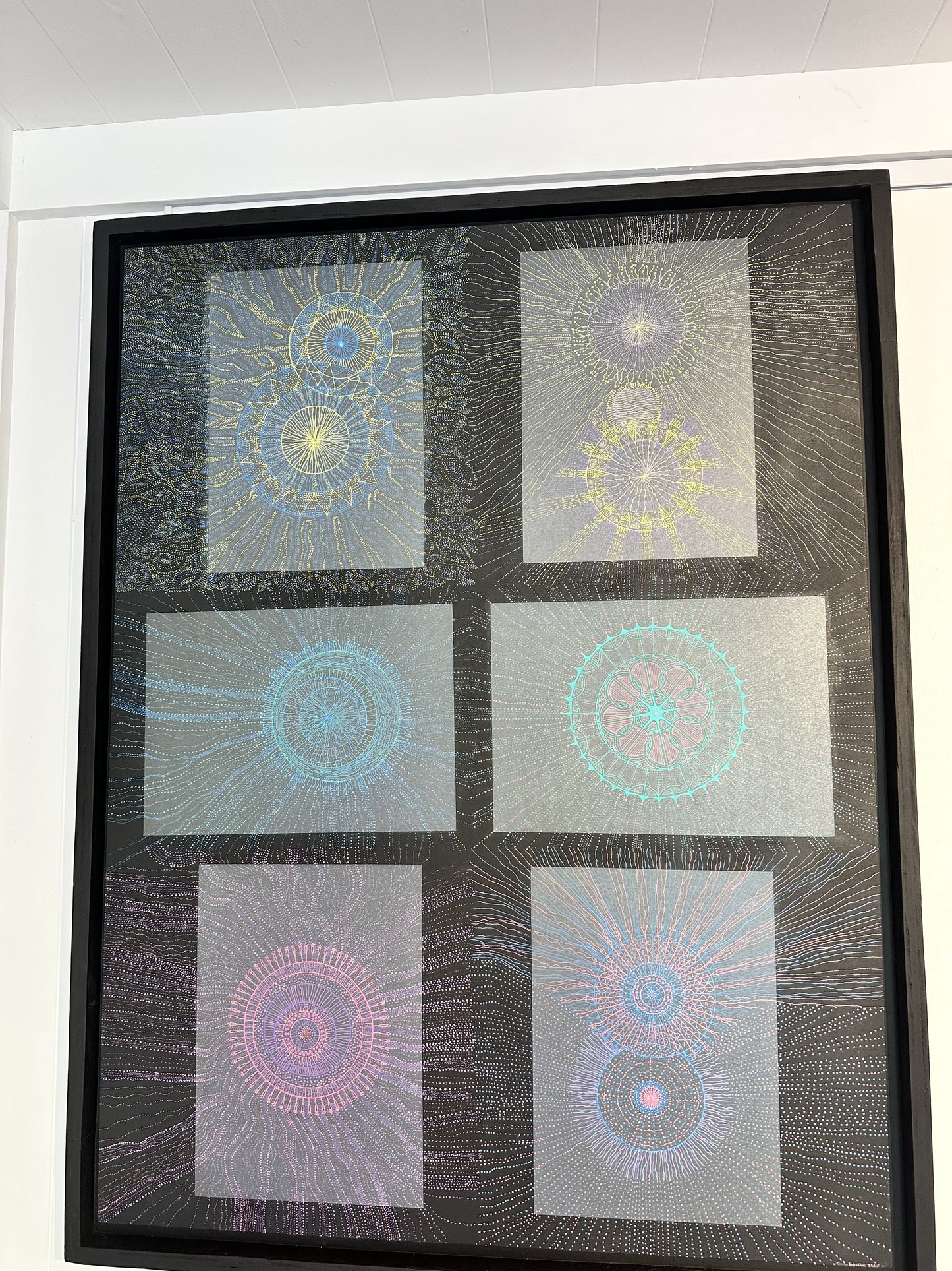 Scenes of Unicellular