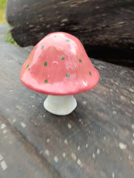 Large Mushroom