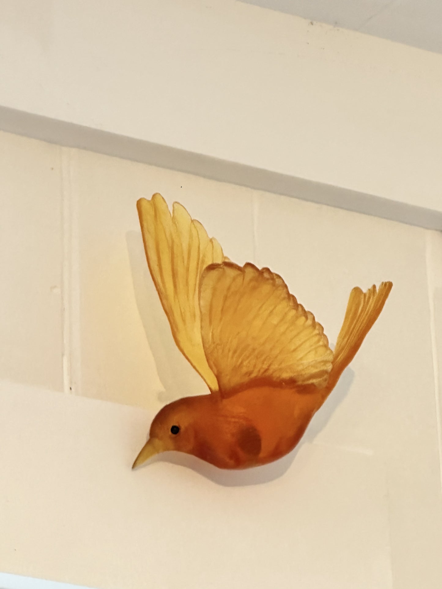 Stitchbird - Orange