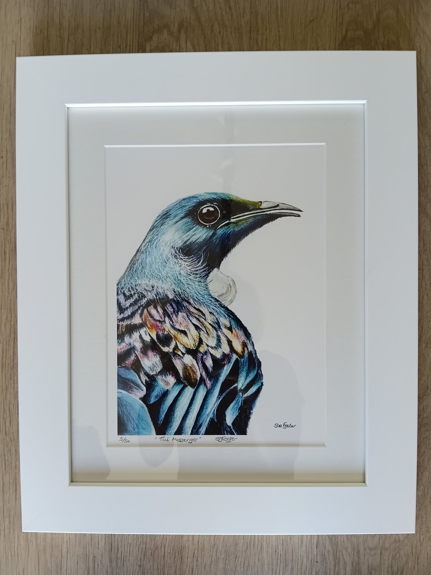Tui Messenger Print Framed