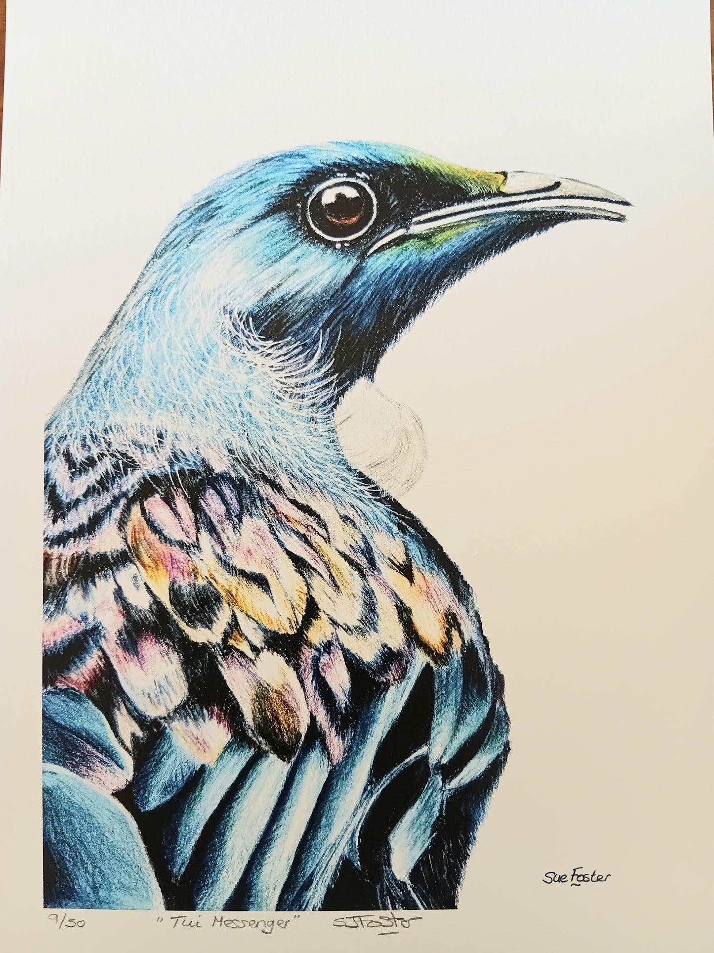 A4 Limited Tui Messenger print
