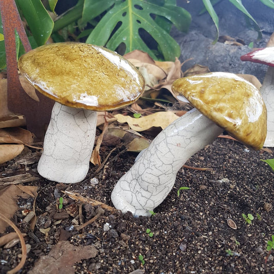 Toadstool - Large