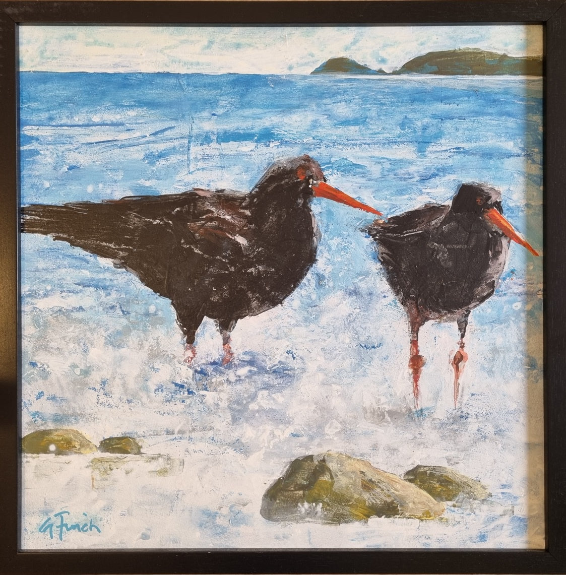 Oyster Catchers #2