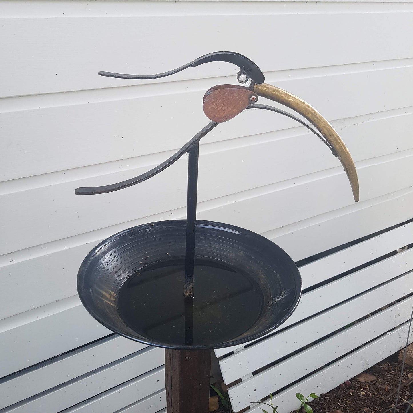 Lost Huia Bird Bath