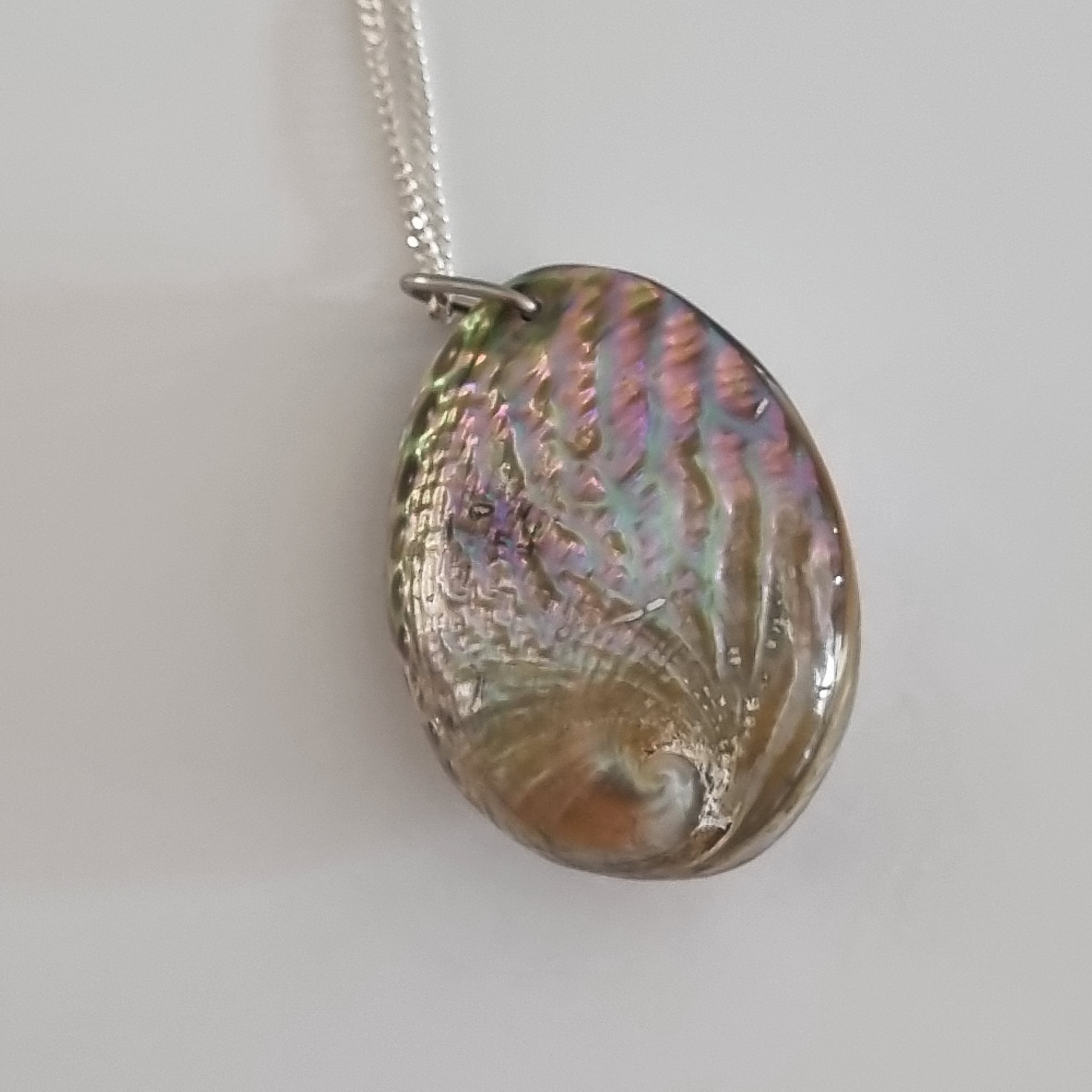 Whole Paua Shell Necklace on silver chain