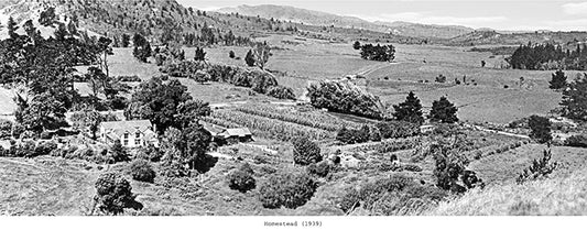 The Homestead 1939