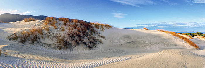 Kiwi Trail, Stewart Island, New Zealand