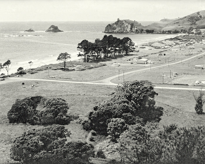 Hahei Beach